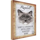 Holzschild 30x20 cm Ragdoll Katze sanft Tier Haustier