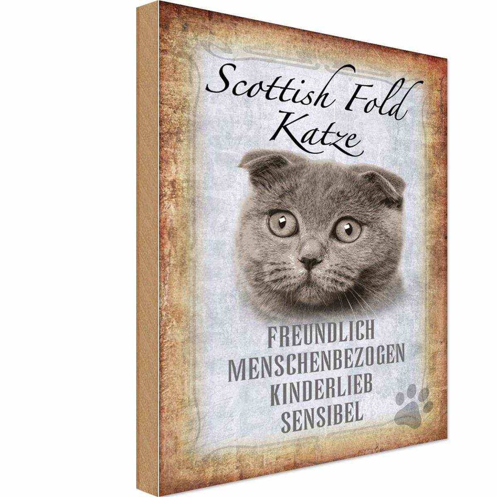 Holzschild 30x20 cm Scottish Fold Katze Tier Haustier