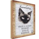 Holzschild 30x20 cm Siamkatze Katze grazil Tier Haustier