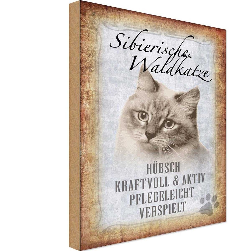 Holzschild 30x20 cm sibierische Waldkatze Katze Tier Haustier