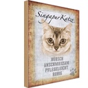 Holzschild 30x20 cm Singapur Katze Tier Haustier