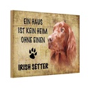 Holzschild 20x30 cm Irish Setter Hund Tier Haustier