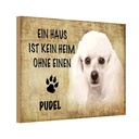 Holzschild 20x30 cm Pudel Hund Tier Haustier