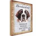 Holzschild 30x20 cm Bernhardiner Hund Tier Haustier