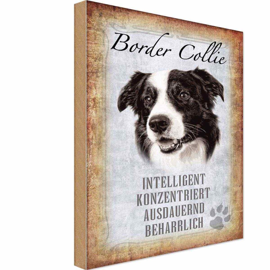 Holzschild 30x20 cm Border Collie Hund Tier Haustier