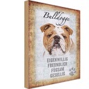 Holzschild 30x20 cm Bulldogge Hund gesellig Tier Haustier