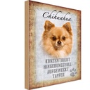 Holzschild 30x20 cm Chihuahua Hund tapfer Tier Haustier