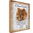 Holzschild 30x20 cm Chow Hund loyal Tier Haustier