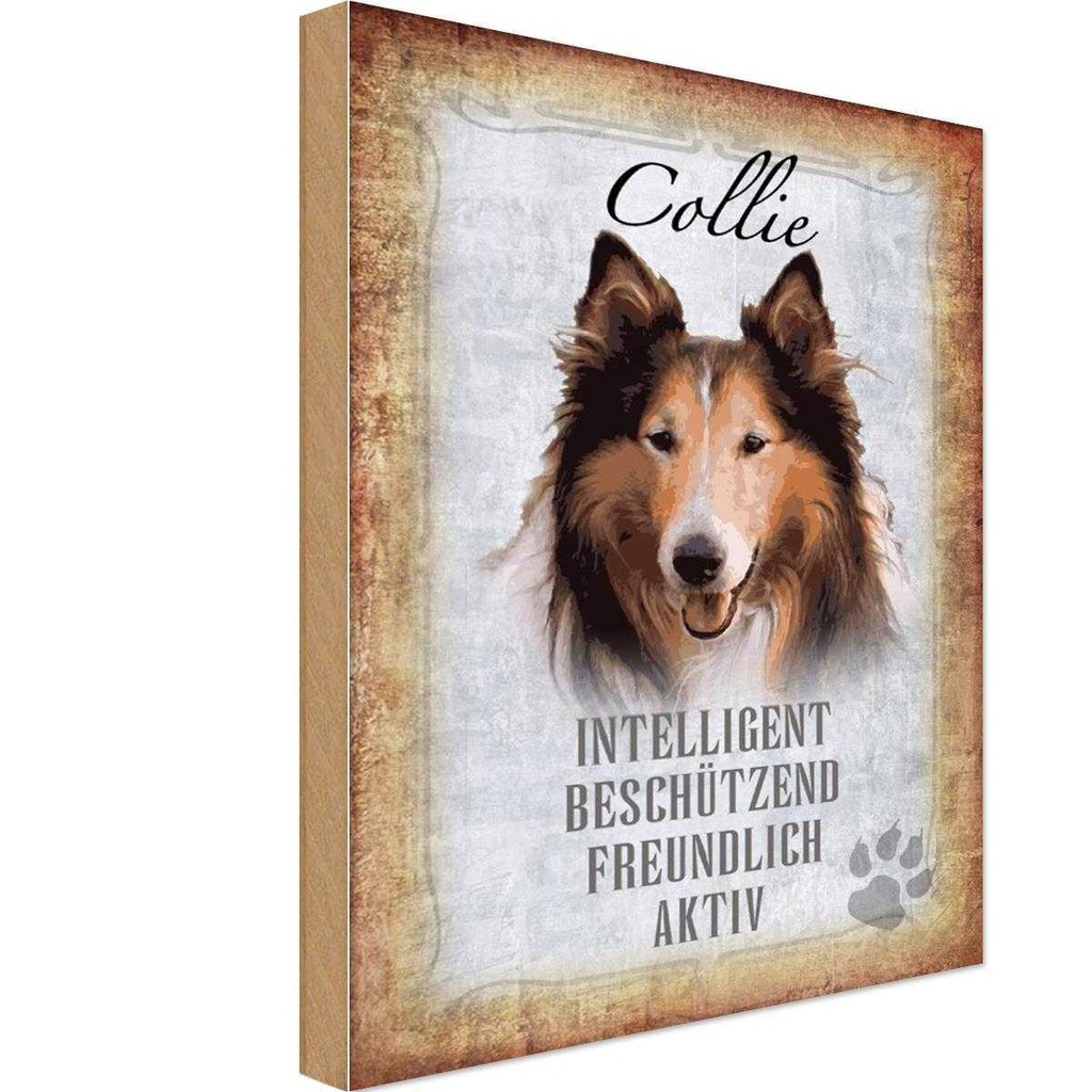 Holzschild 30x20 cm Collie Hund freundlich Tier Haustier