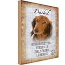 Holzschild 30x20 cm Dackel Hund lebendig Tier Haustier