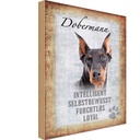 Holzschild 30x20 cm Dobermann Hund loyal Tier Haustier