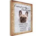 Holzschild 30x20 cm Französische Bulldogge Hund Tier Haustier