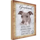 Holzschild 30x20 cm Greyhound Hund Tier Haustier