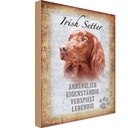 Holzschild 30x20 cm Irish Setter Hund Tier Haustier