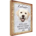 Holzschild 30x20 cm Labrador Hund Tier Haustier