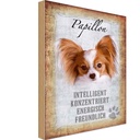 Holzschild 30x20 cm Papillon Hund Tier Haustier
