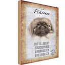 Holzschild 30x20 cm Pekinese Hund Tier Haustier