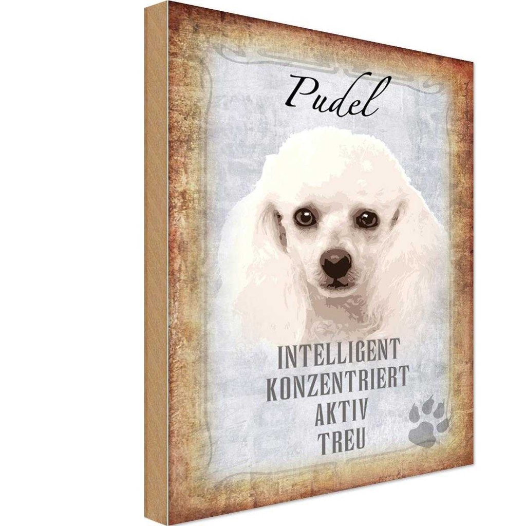 Holzschild 30x20 cm Pudel Hund aktiv Tier Haustier