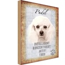 Holzschild 30x20 cm Pudel Hund aktiv Tier Haustier