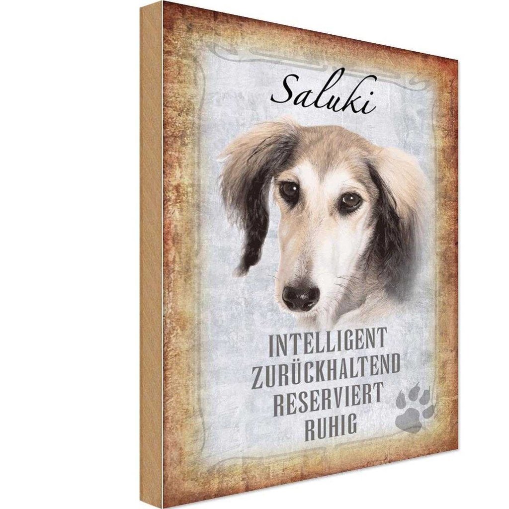 Holzschild 30x20 cm Saluki Hund ruhig Tier Haustier