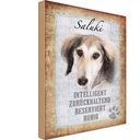 Holzschild 30x20 cm Saluki Hund ruhig Tier Haustier