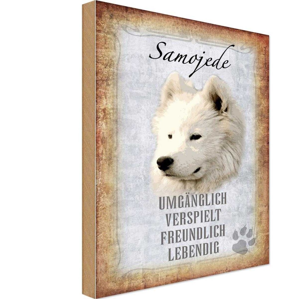 Holzschild 30x20 cm Samojede Hund Tier Haustier