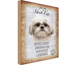 Holzschild 30x20 cm Shih Tzu Hund Tier Haustier