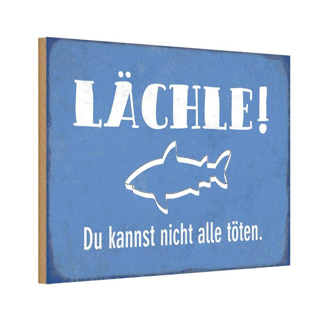 Holzschild 20x30 cm lächle Du kannst nicht alle Dekoration