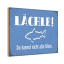 Holzschild 20x30 cm lächle Du kannst nicht alle Dekoration