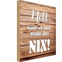Holzschild 30x20 cm Nett kann ich auch bringt nix Spruch Zitat