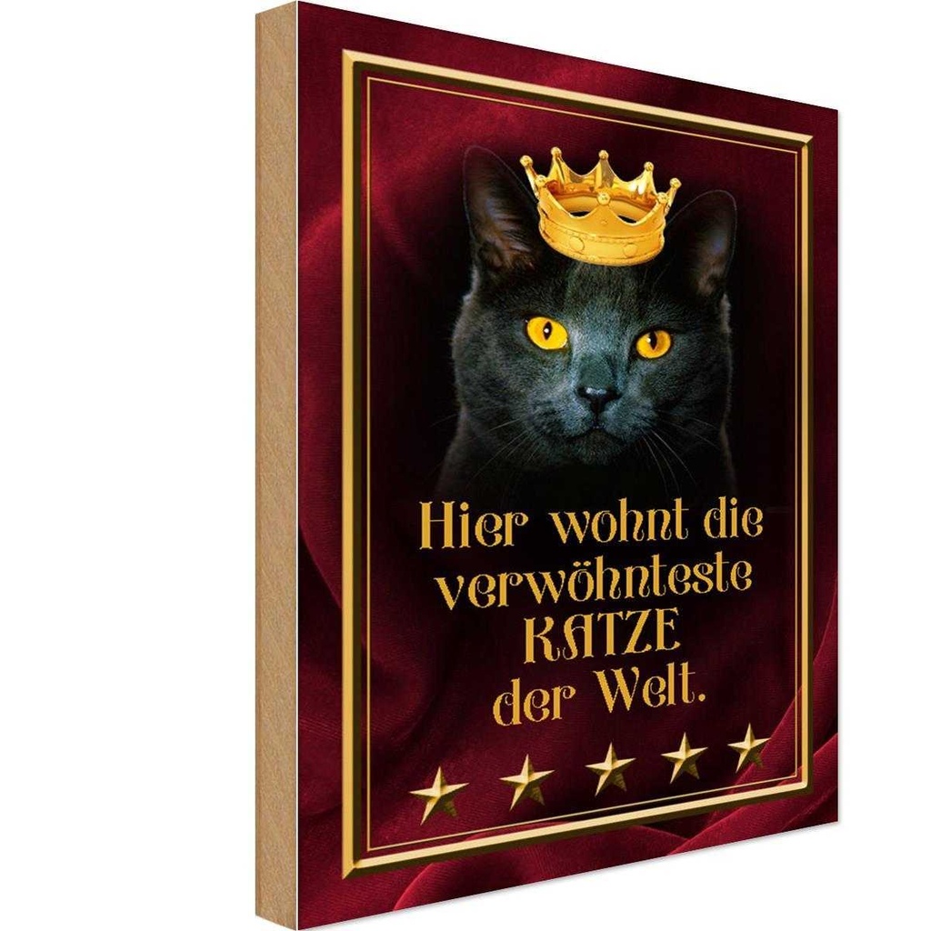 Holzschild 30x20 cm hier wohnt Katze der Welt Tier Haustier
