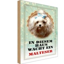 Holzschild 30x20 cm Hund in diesem Haus wacht Malteser Tier Haustier
