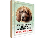 Holzschild 30x20 cm Hund in diesem Haus wacht Bluthund Tier Haustier