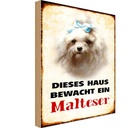 Holzschild 30x20 cm Hund dieses Haus bewacht ein Malteser Tier Haustier