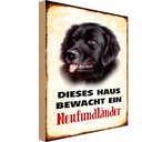 Holzschild 30x20 cm Hund dieses Haus bewacht Neufundländer Tier Haustier