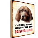 Holzschild 30x20 cm Hund dieses Haus bewacht ein Bluthund Tier Haustier