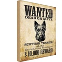 Holzschild 30x20 cm Hund wanted Scottish Terrier Tier Haustier