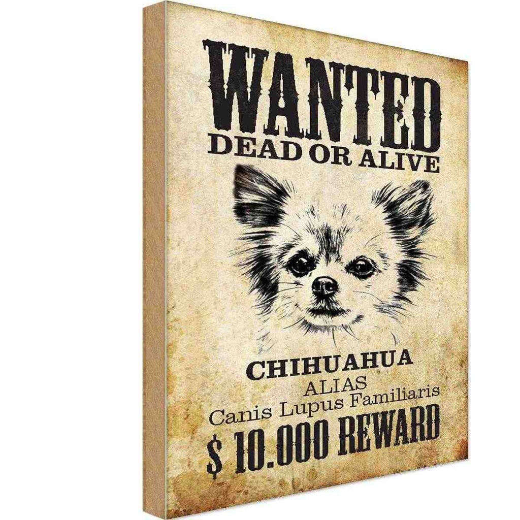 Holzschild 30x20 cm Hund wanted Chihuahua Alias Tier Haustier