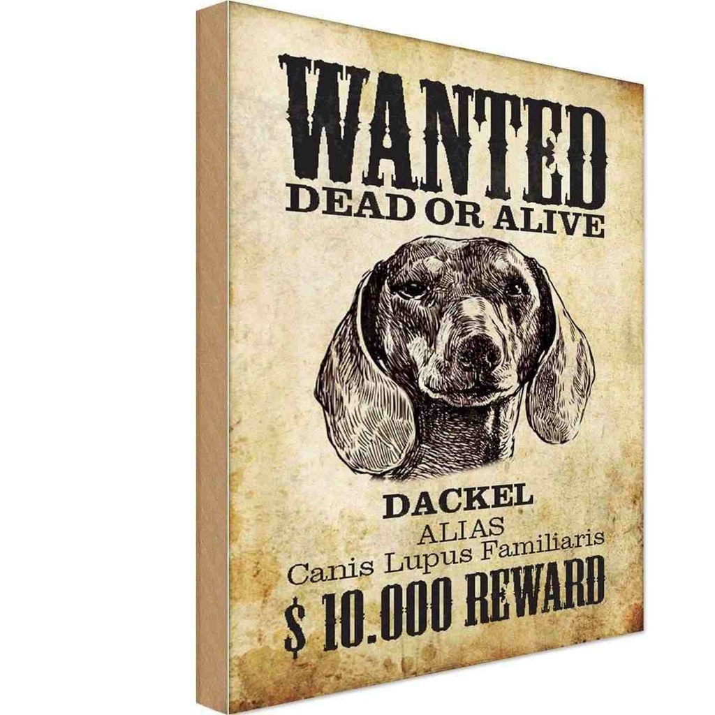 Holzschild 30x20 cm Hund wanted dead Dackel Alias Tier Haustier