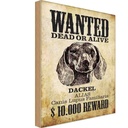 Holzschild 30x20 cm Hund wanted dead Dackel Alias Tier Haustier