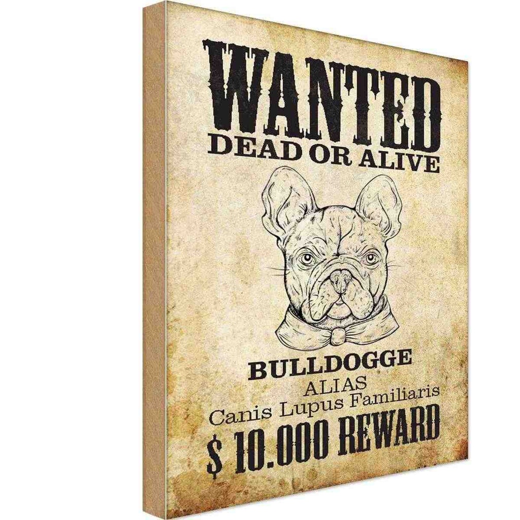 Holzschild 30x20 cm Hund wanted dead Bulldogge Alias Tier Haustier