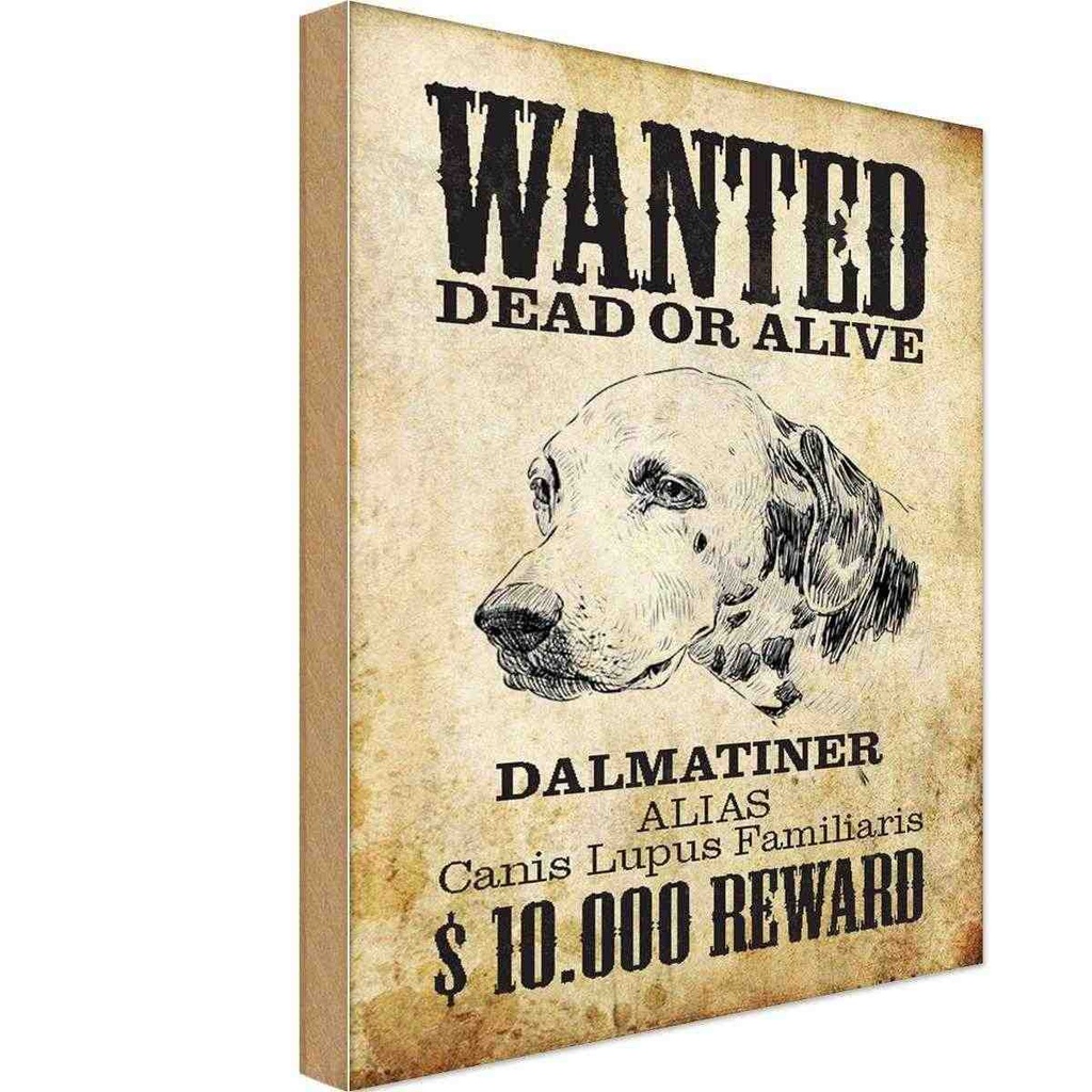 Holzschild 30x20 cm Hund wanted dead Dalmatiner Tier Haustier