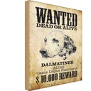 Holzschild 30x20 cm Hund wanted dead Dalmatiner Tier Haustier