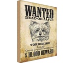 Holzschild 30x20 cm Hund wanted dead Yorkshire Tier Haustier