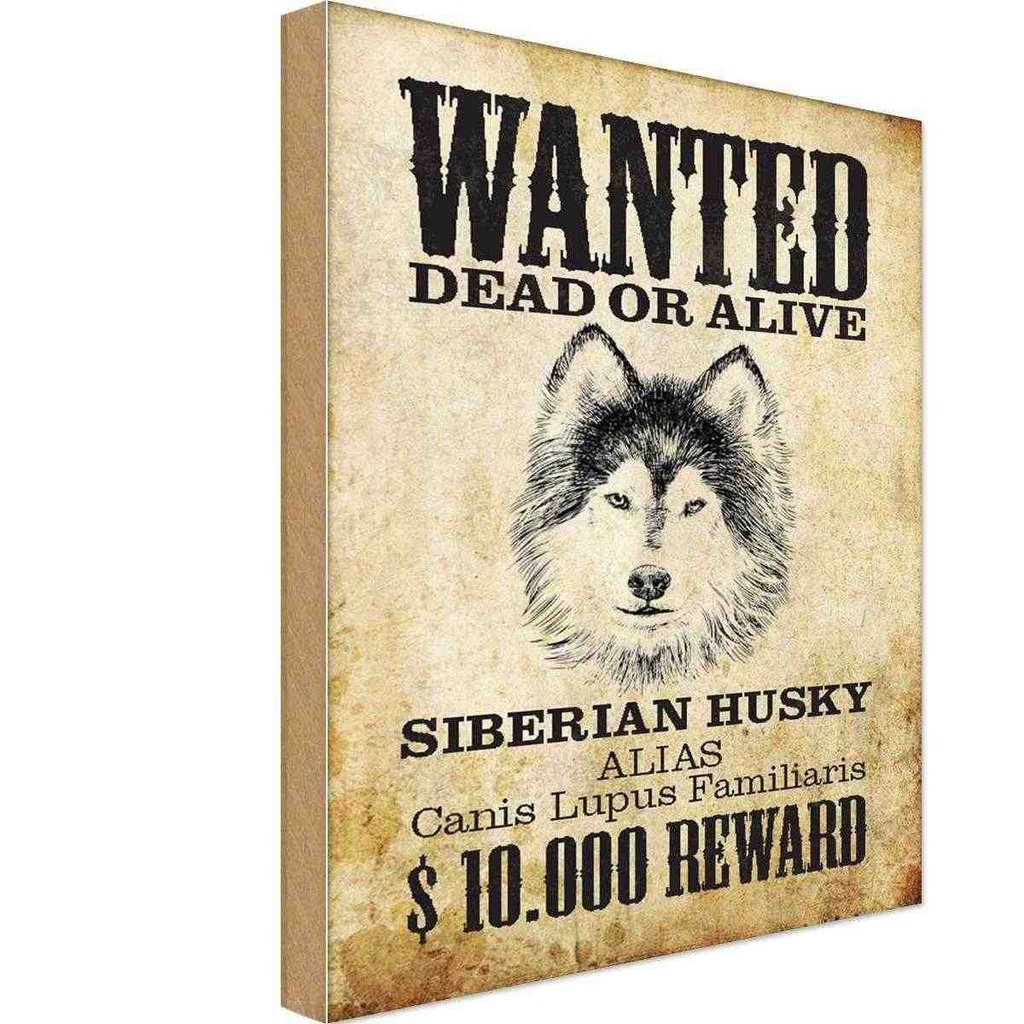 Holzschild 30x20 cm Hund wanted Siberian Husky Tier Haustier