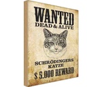 Holzschild 30x20 cm Tiere wanted Schrödingers Katze Tier Haustier