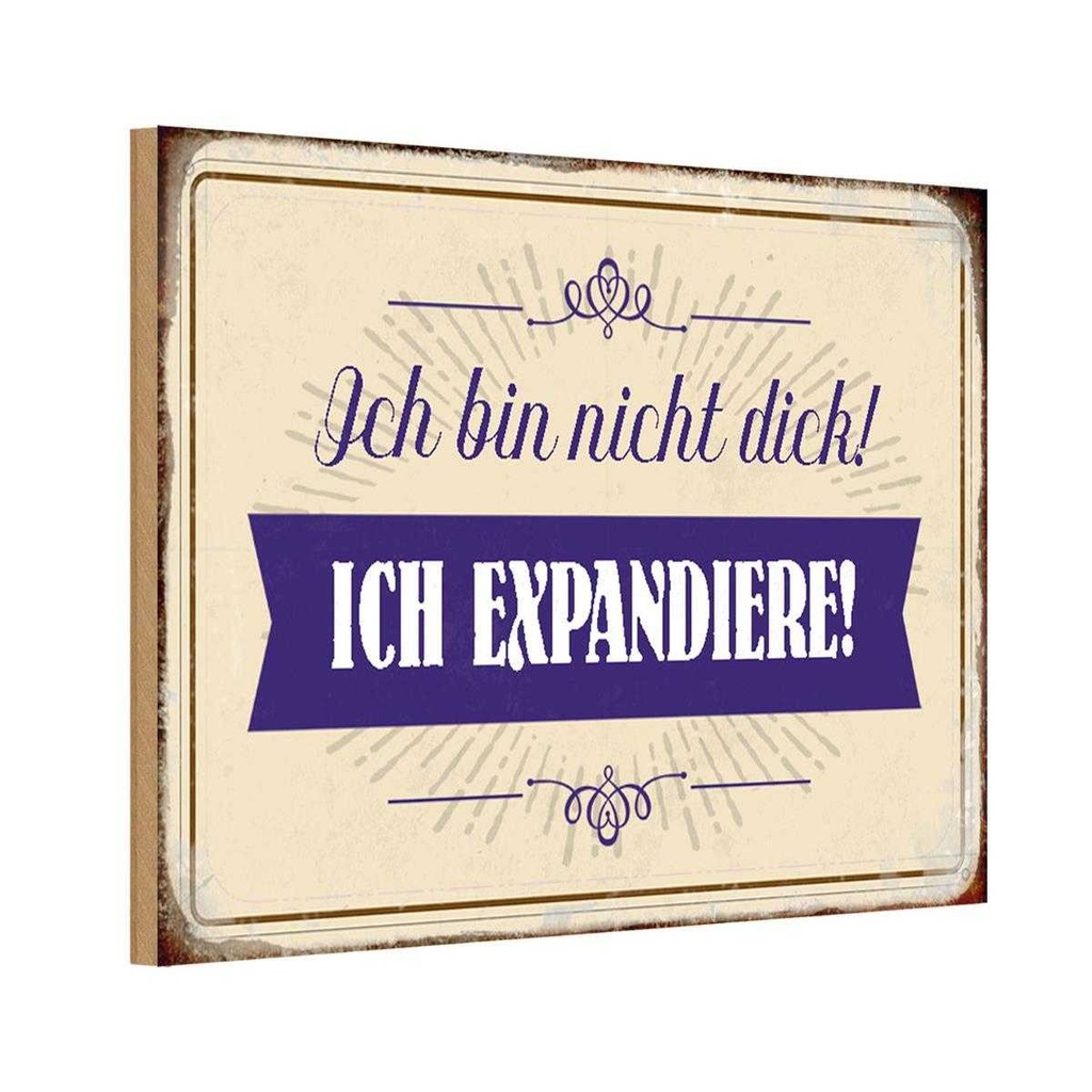 Holzschild 20x30 cm bin nicht dick ich expandiere Dekoration