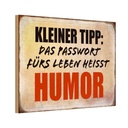 Holzschild 20x30 cm kleiner Tipp das Passwort Humor Spruch Zitat