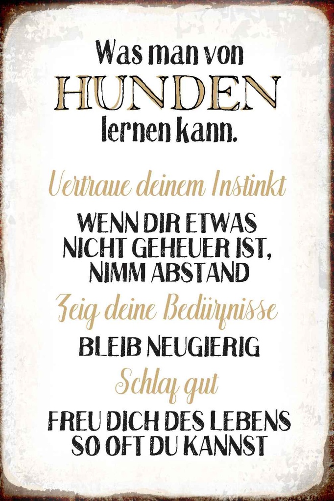 Holzschild 30x20 cm was man von Hunden lernen kann Tier Haustier