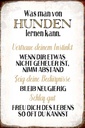 Holzschild 30x20 cm was man von Hunden lernen kann Tier Haustier